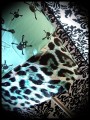 Black/mint green skull dress leopard details - size M/L