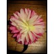 Headband hairband or hair clip brooch HOT PINK flower