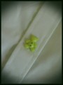 Pale green black dress Teddy bears buttons - size M/L