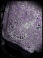 Purple grey black top retro leopard and lace print - size S/M
